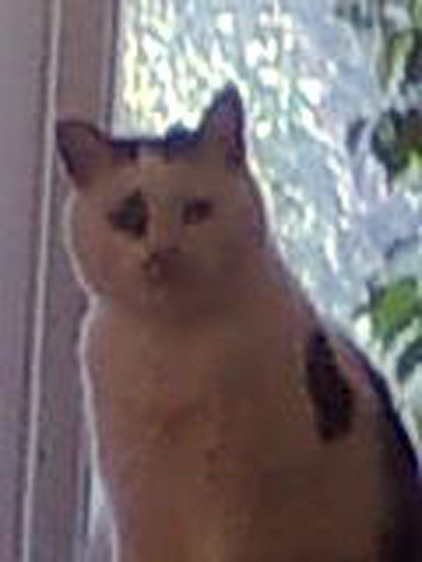 02009-Annas Bilder-013