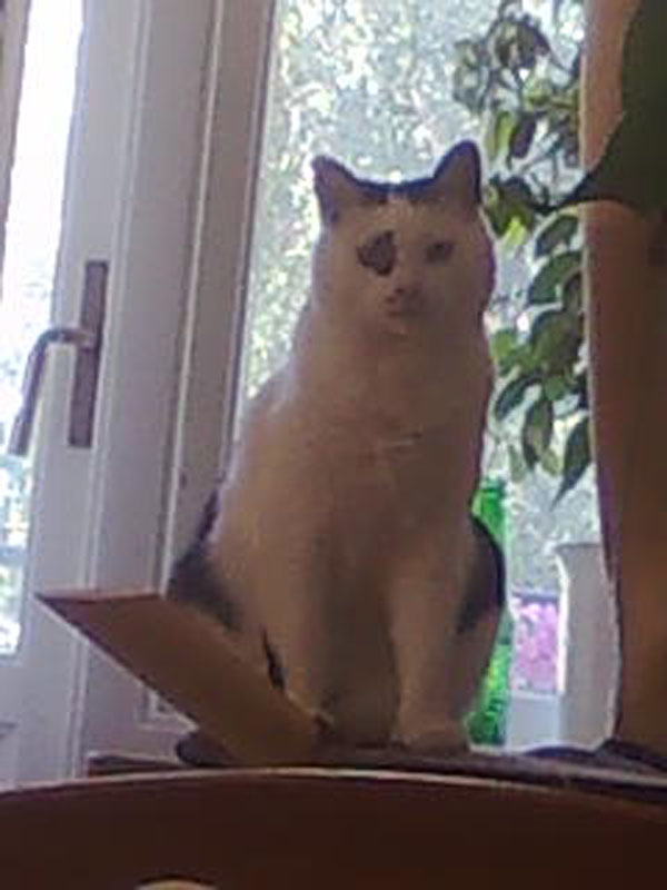 02009-Annas Bilder-015