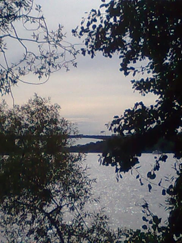 02009-Annas Bilder-022
