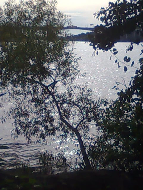 02009-Annas Bilder-023