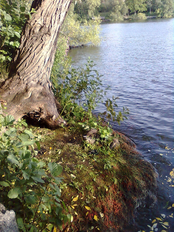 02009-Annas Bilder-028