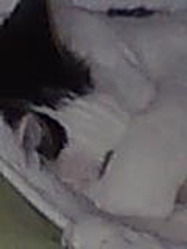 02009-Annas Bilder-043