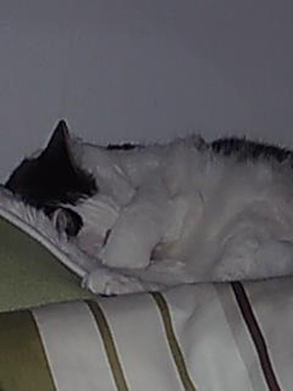 02009-Annas Bilder-044