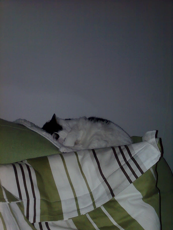 02009-Annas Bilder-045