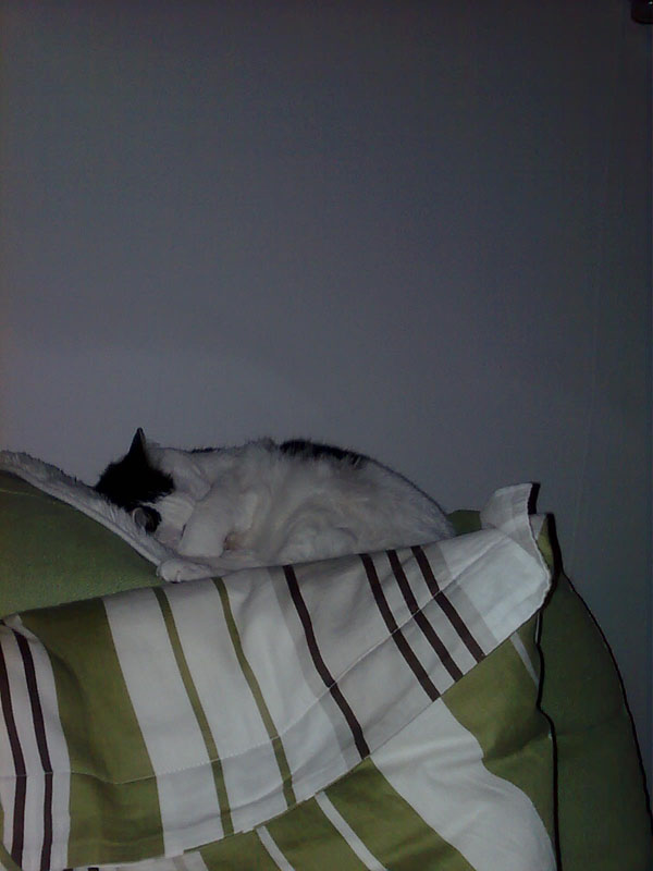 02009-Annas Bilder-046