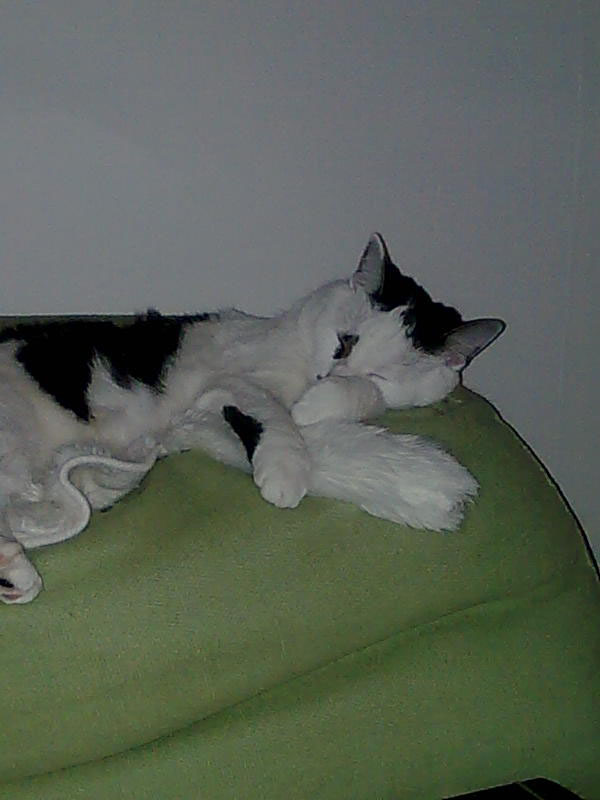 02009-Annas Bilder-047