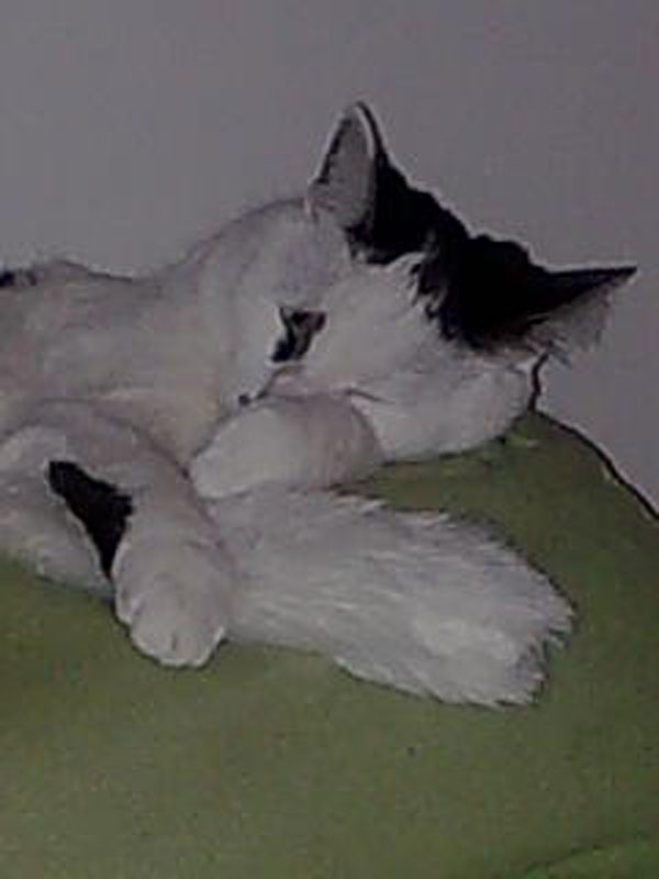02009-Annas Bilder-048