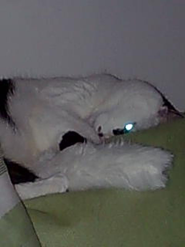 02009-Annas Bilder-050