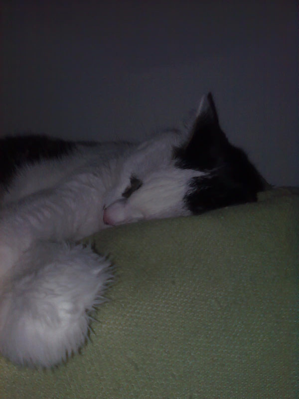 02009-Annas Bilder-051
