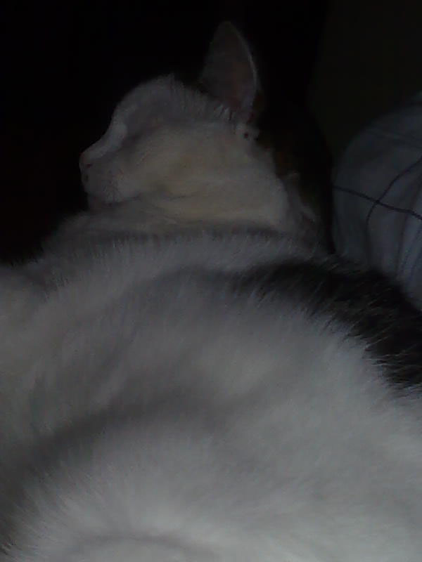 02009-Annas Bilder-053