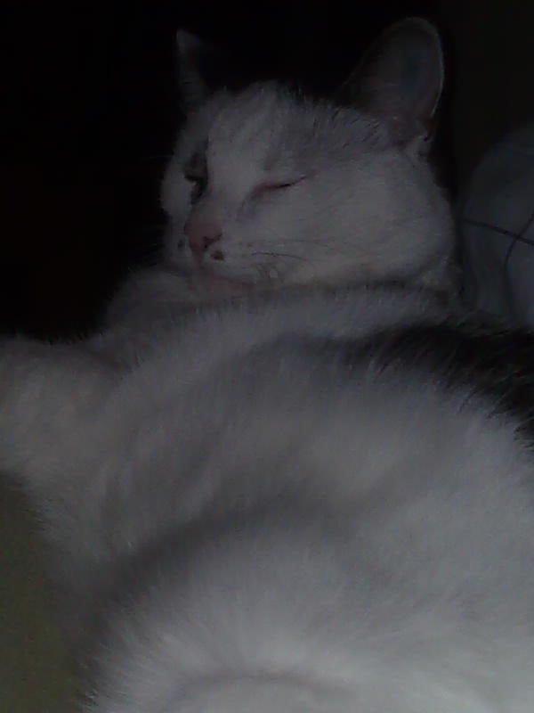 02009-Annas Bilder-054