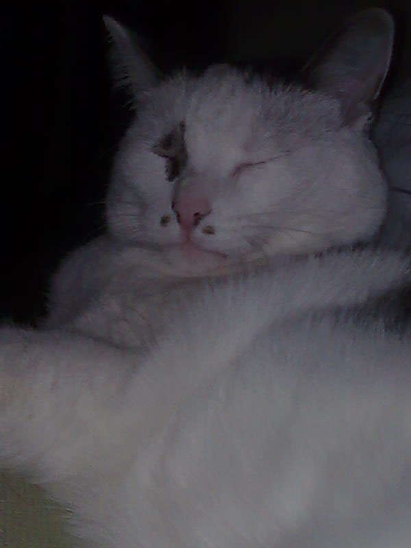 02009-Annas Bilder-055