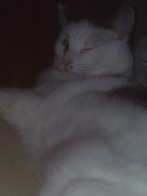 02009-Annas Bilder-056