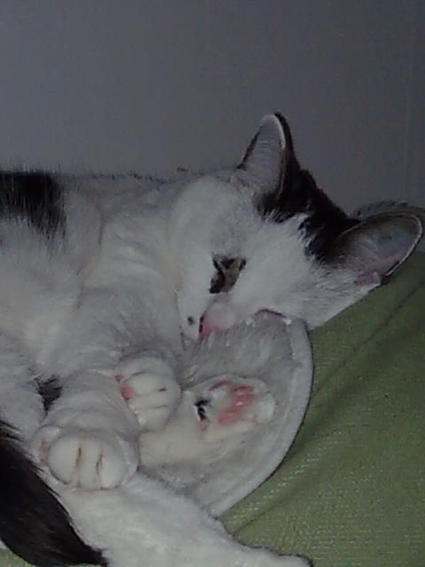 02009-Annas Bilder-062