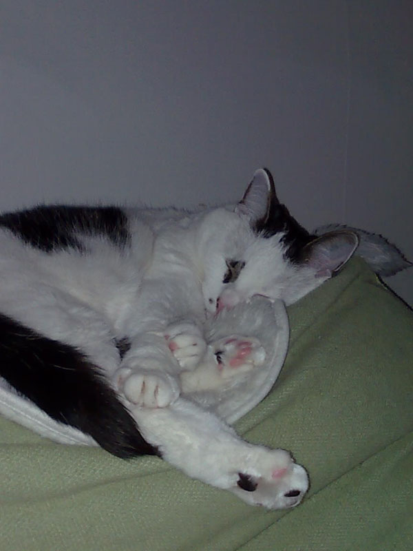02009-Annas Bilder-063