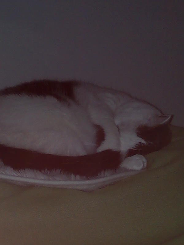 02009-Annas Bilder-064