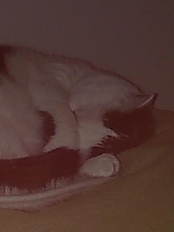 02009-Annas Bilder-065