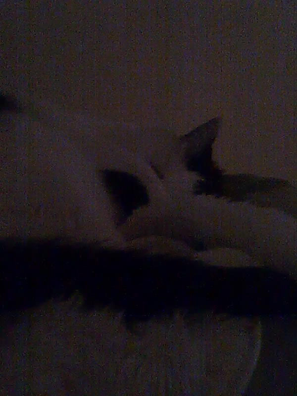02009-Annas Bilder-086