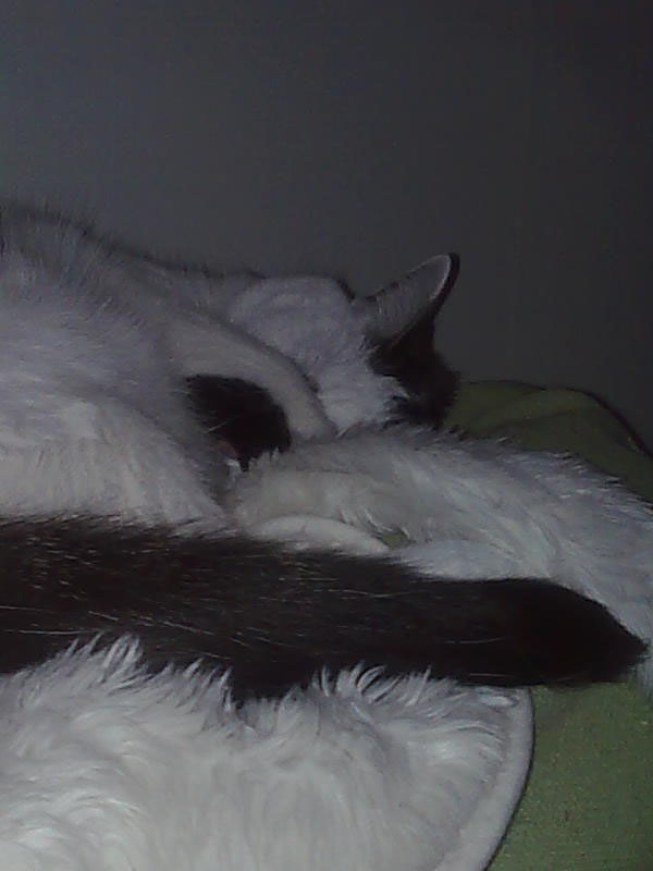 02009-Annas Bilder-087