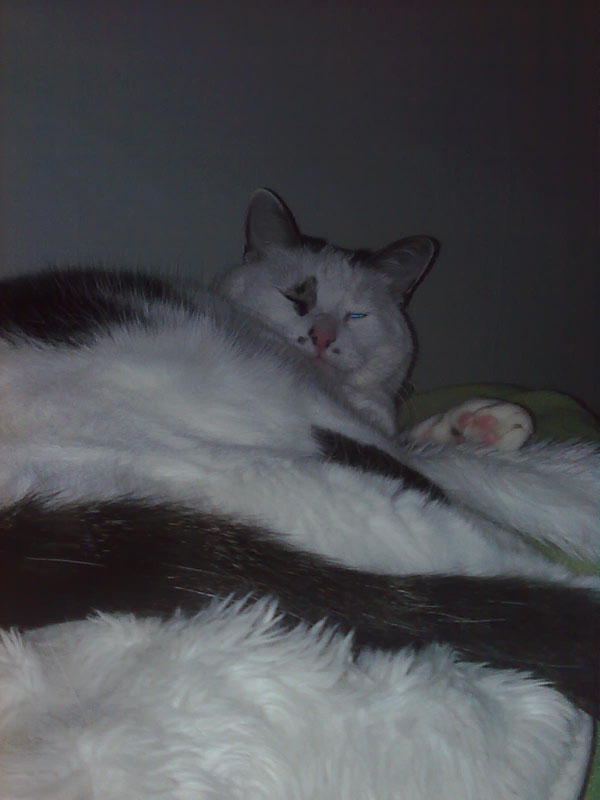 02009-Annas Bilder-088