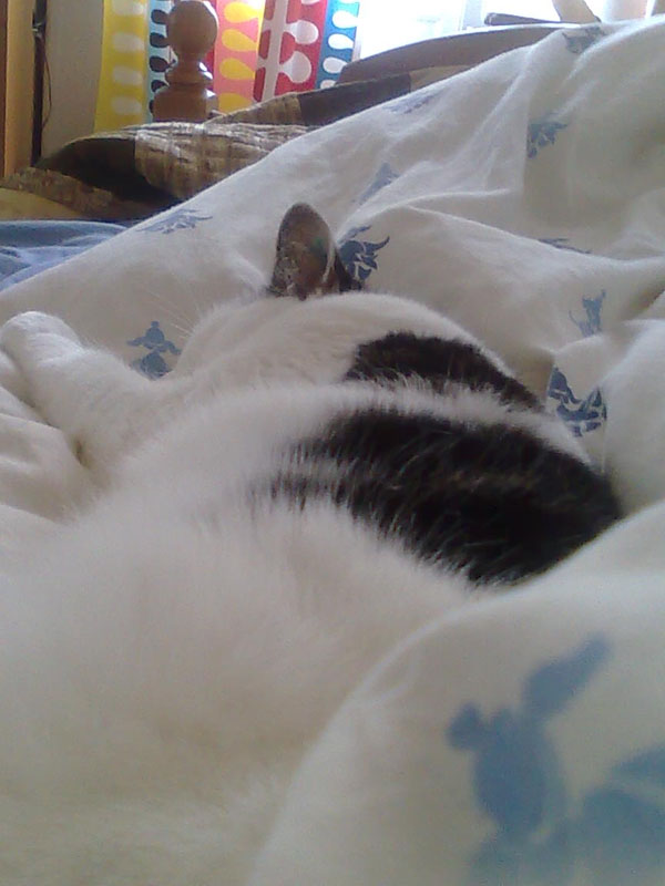 02009-Annas Bilder-093