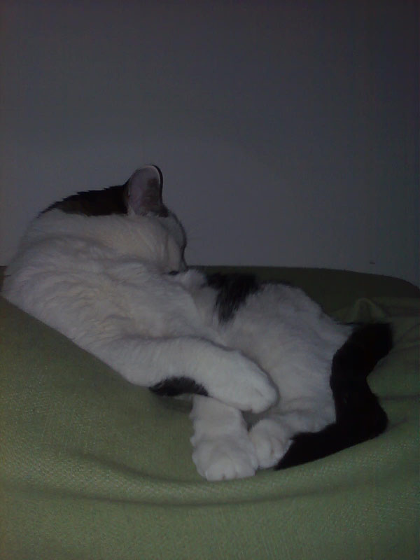 02009-Annas Bilder-106