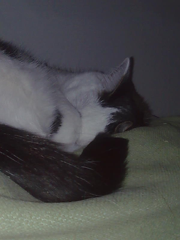 02009-Annas Bilder-107