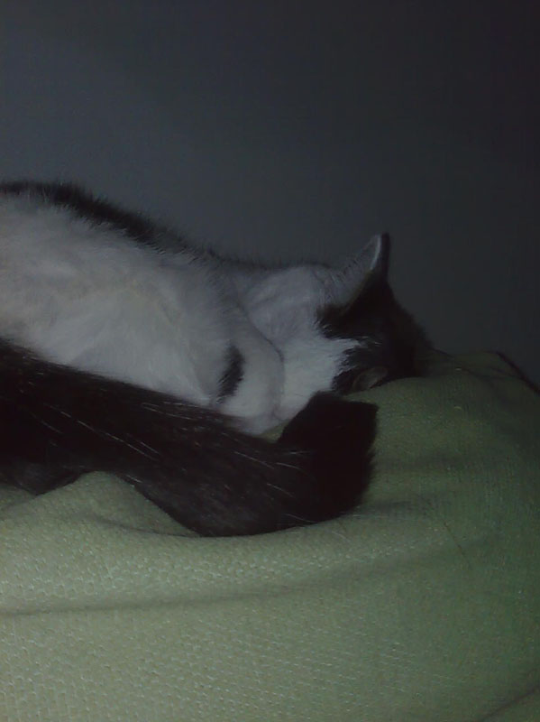 02009-Annas Bilder-108