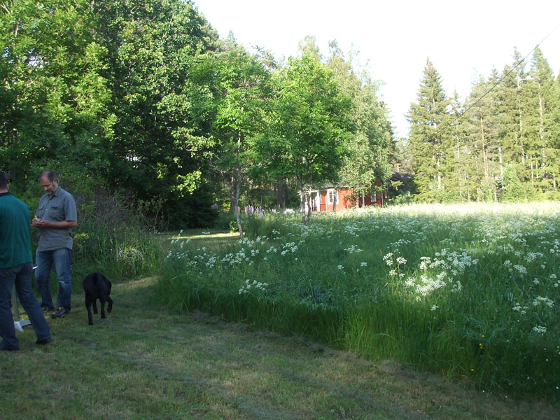 02009-Annas Bilder-112