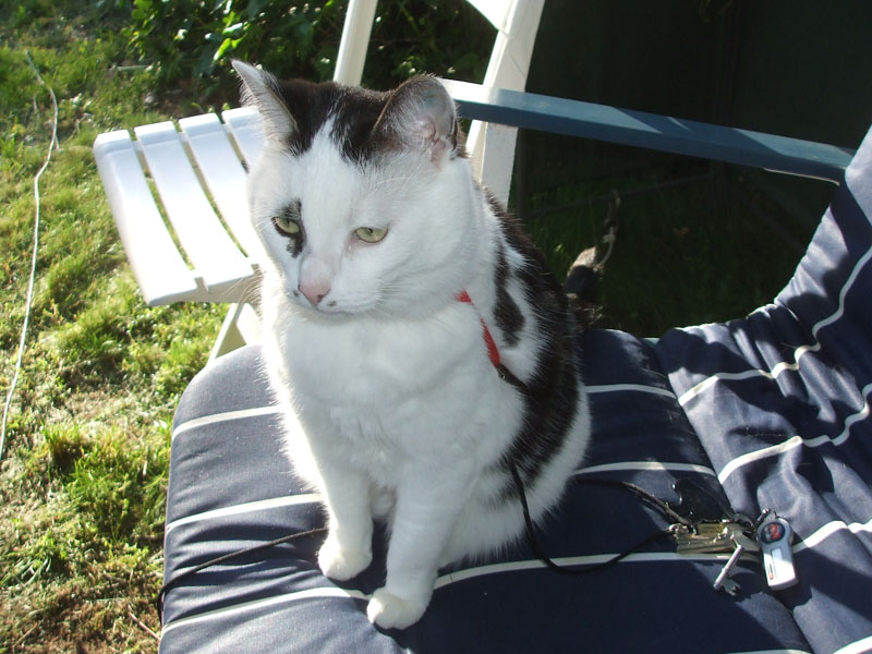 02009-Annas Bilder-116