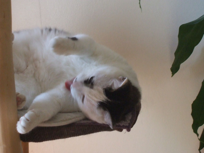 02009-Annas Bilder-125
