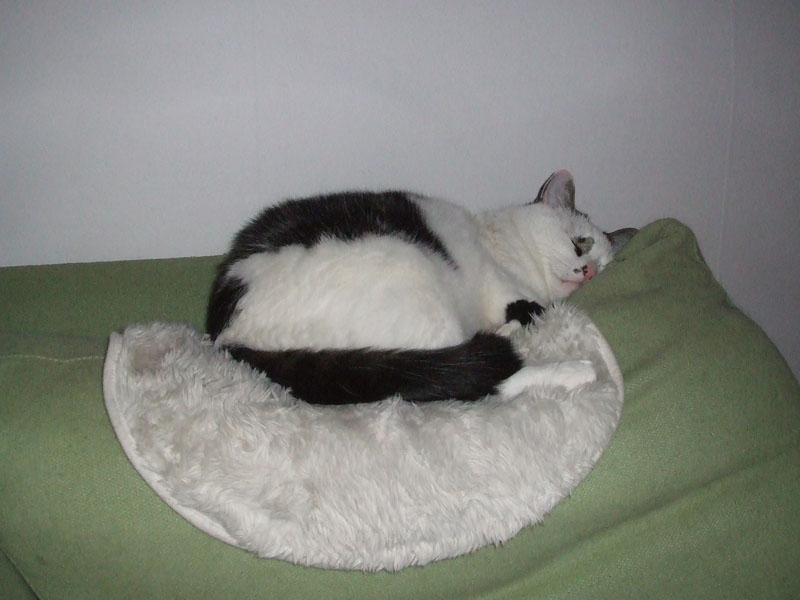 02009-Annas Bilder-129