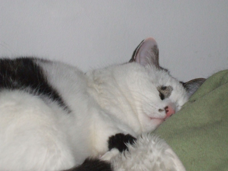02009-Annas Bilder-130