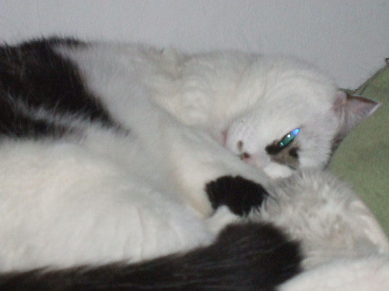 02009-Annas Bilder-131
