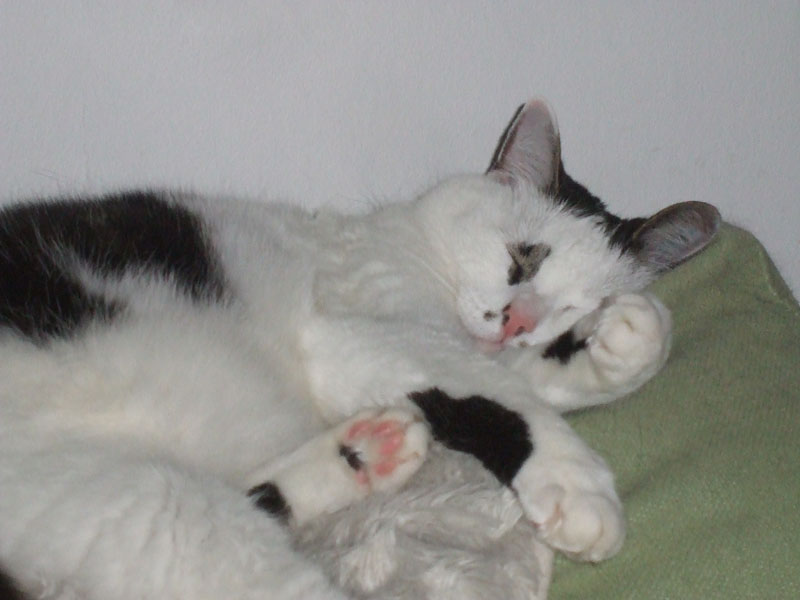 02009-Annas Bilder-132