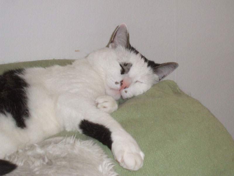 02009-Annas Bilder-134