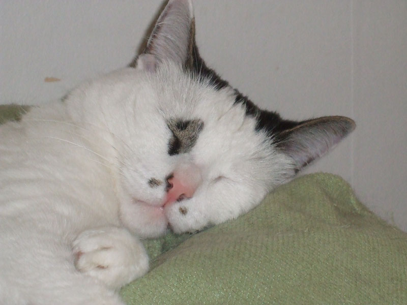 02009-Annas Bilder-135