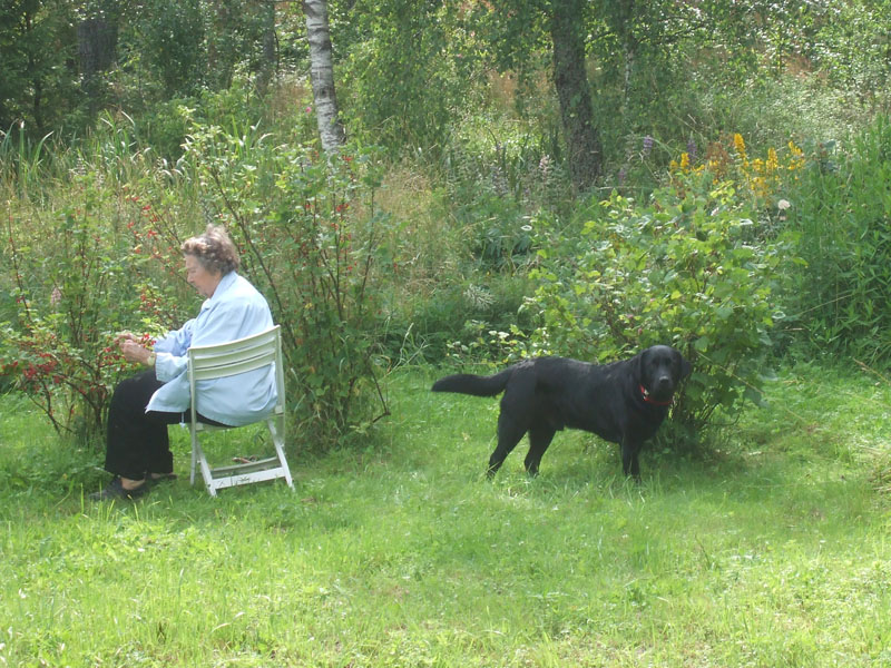 02009-Annas Bilder-145
