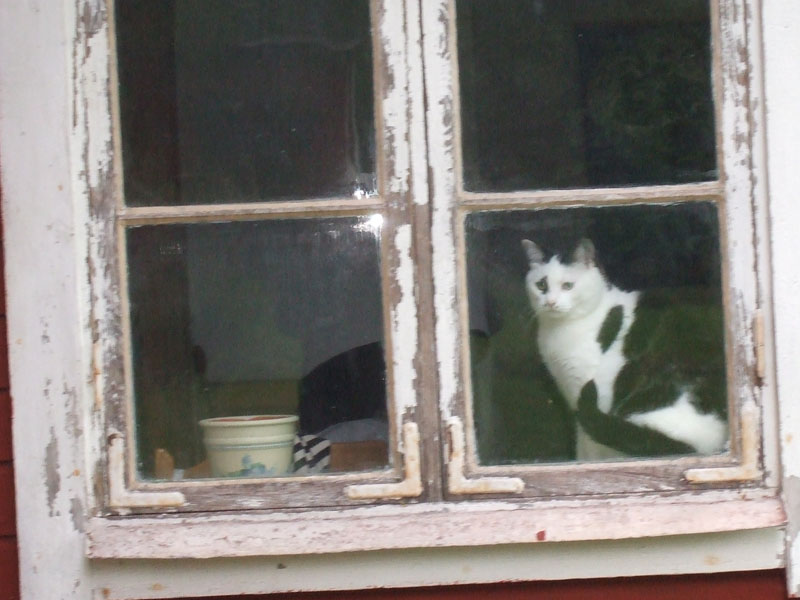 02009-Annas Bilder-160