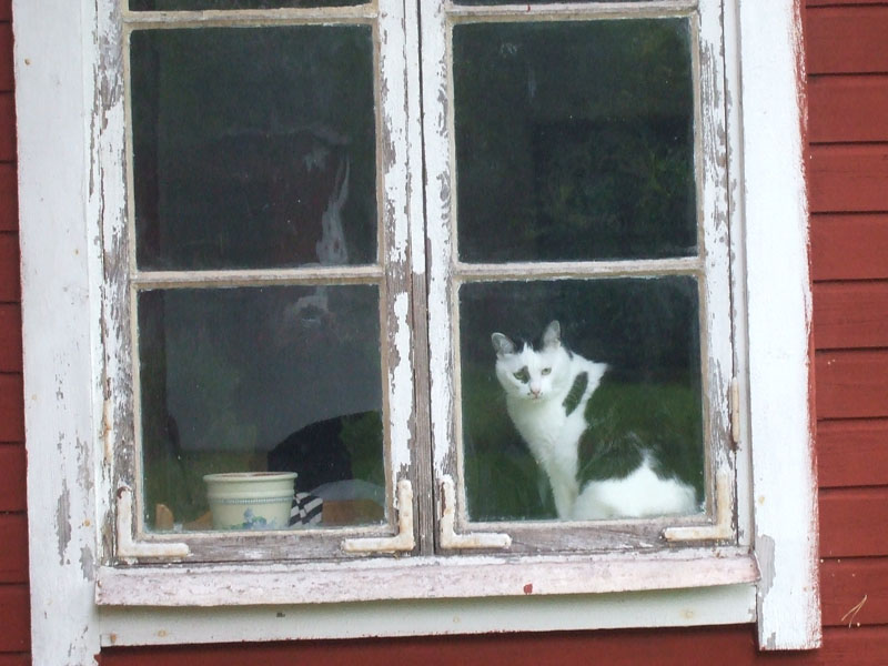 02009-Annas Bilder-162