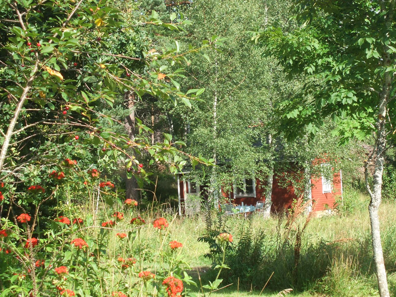 02009-Annas Bilder-166