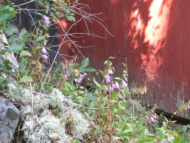 02009-Annas Bilder-177