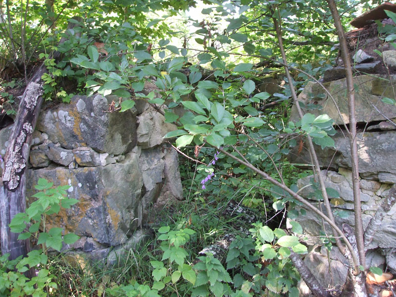 02009-Annas Bilder-178