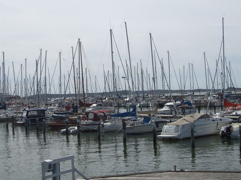 02009-Annas Bilder-211