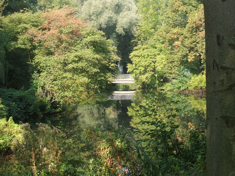 02009-Annas Bilder-284