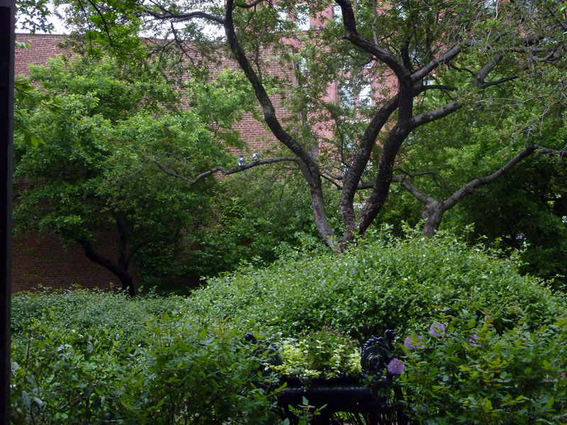 110516-23-New York-A-070