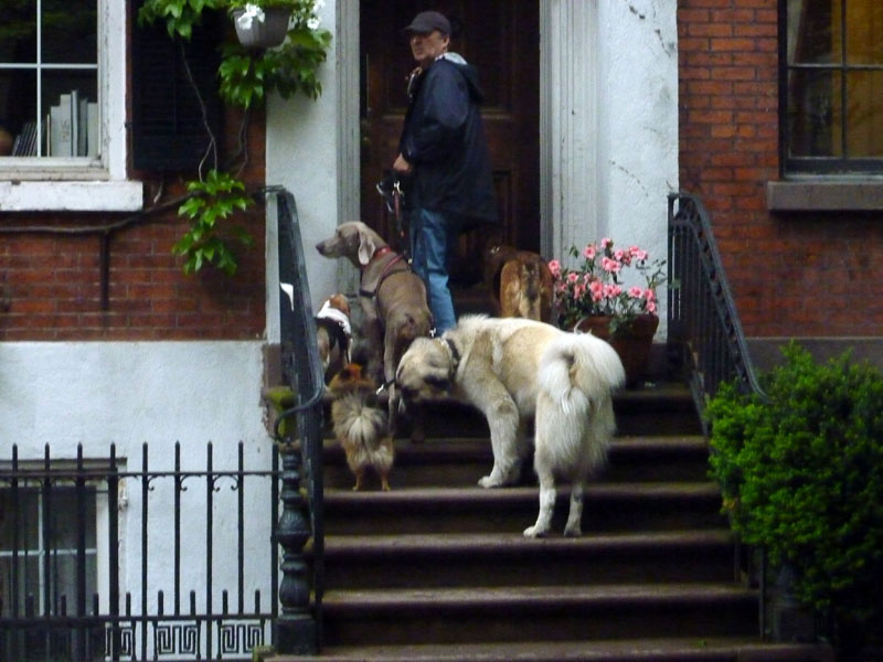 110516-23-New York-A-074