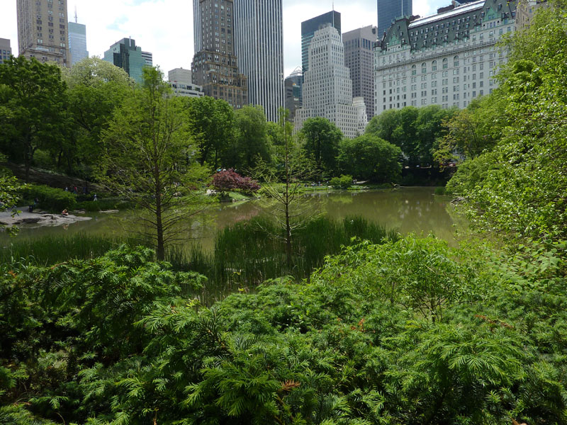110516-23-New York-A-193