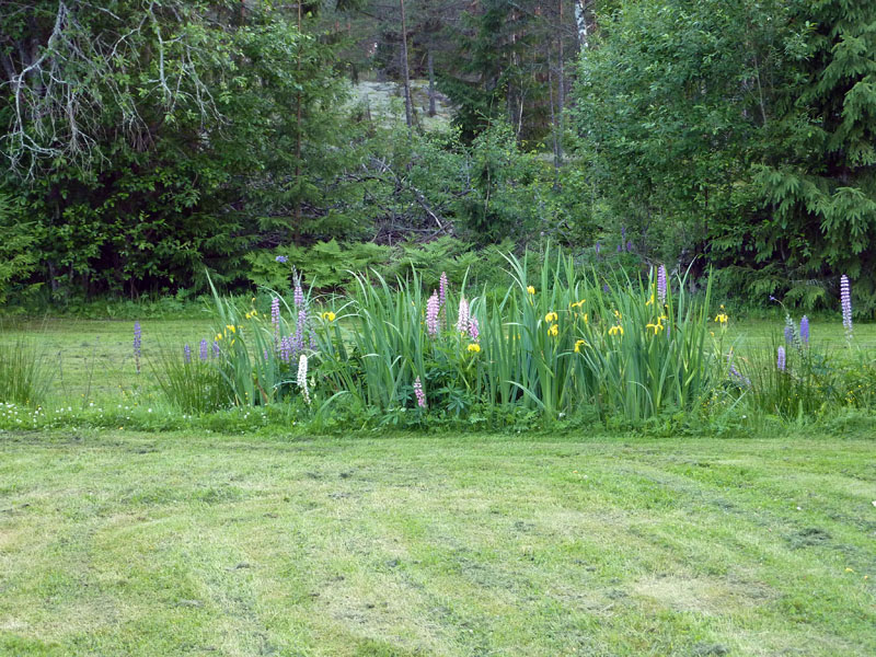 110624-25-Midsommar-033