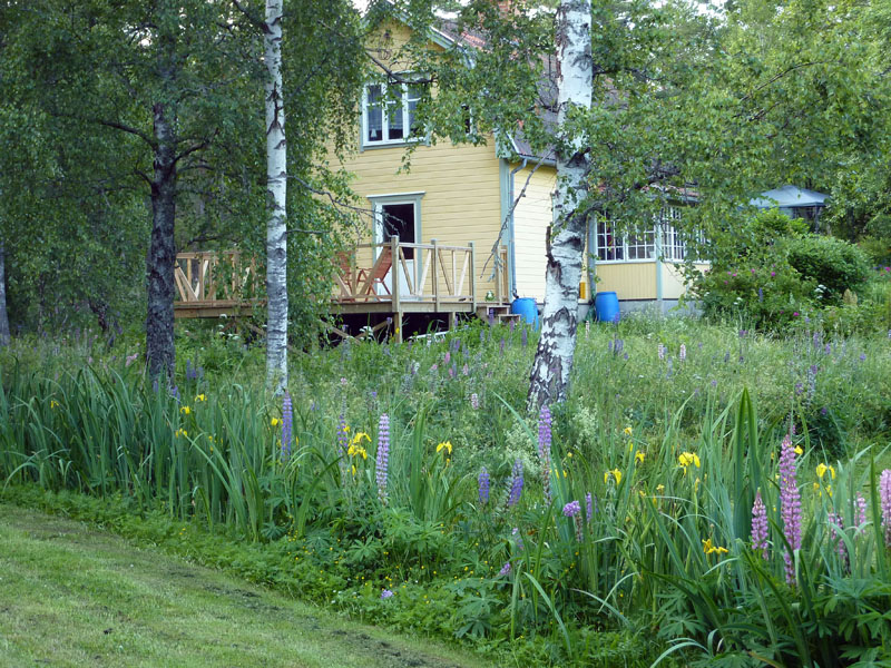 110624-25-Midsommar-038